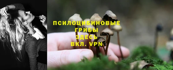 2c-b Гусев