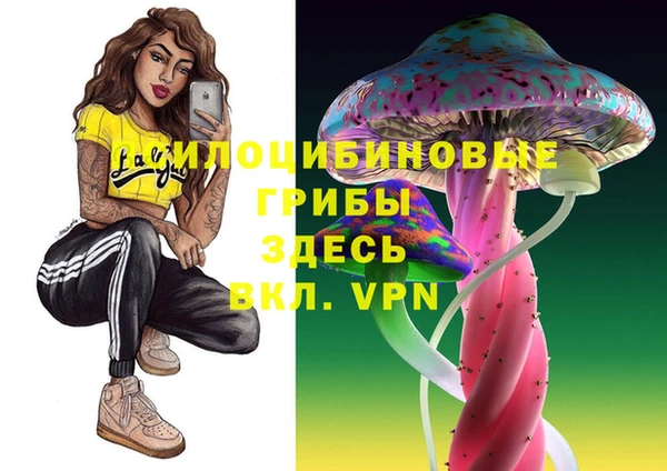 скорость mdpv Гусь-Хрустальный