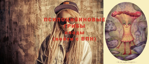 2c-b Гусев