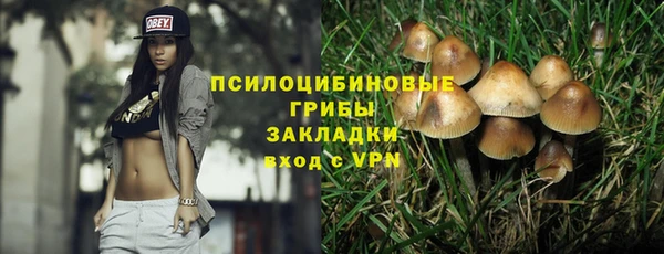 соль курить ск Горно-Алтайск