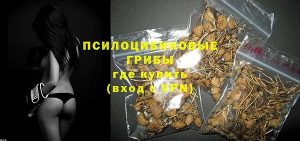 сатива Горнозаводск